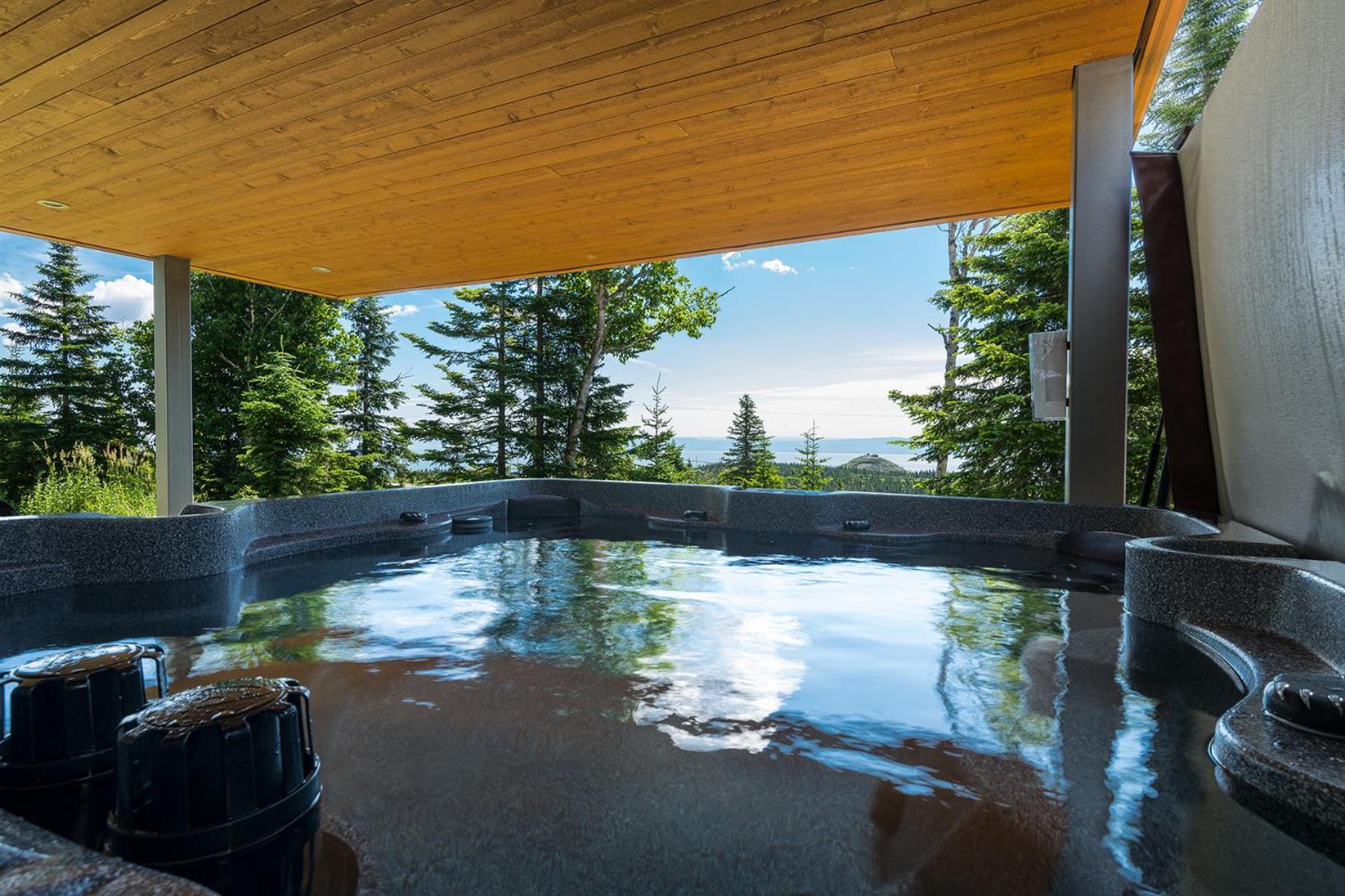 Les Chalets Du Massif De Charlevoix プティット・リヴィエール・サン・フランソワ 部屋 写真